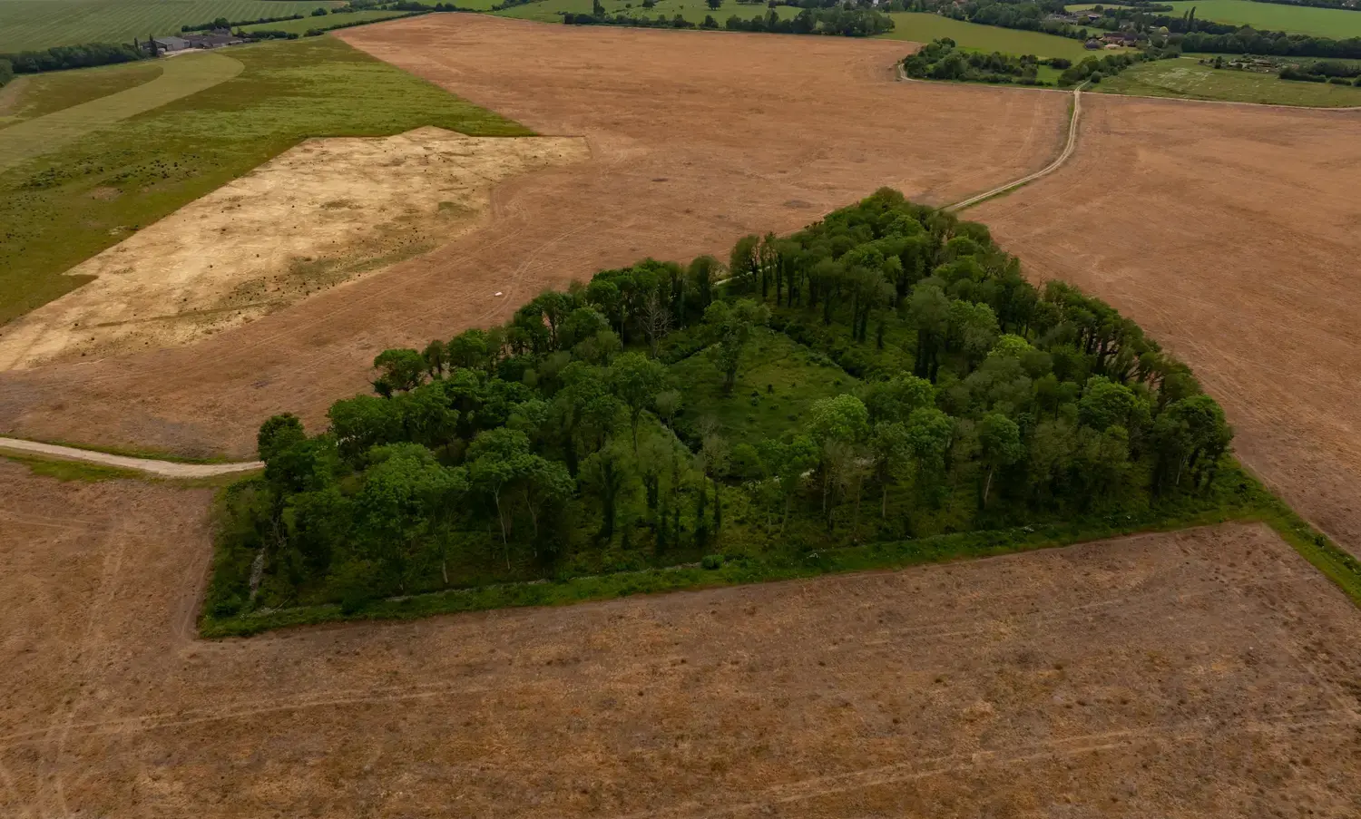 Prestley Wood