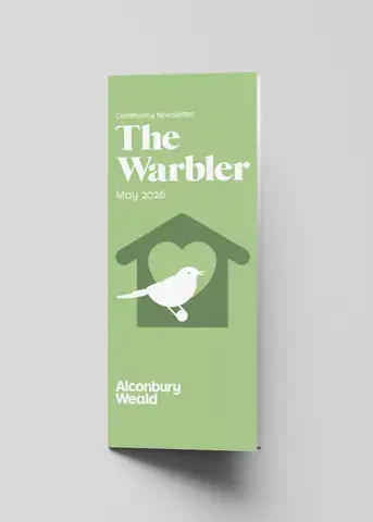 Warbler - May 2026