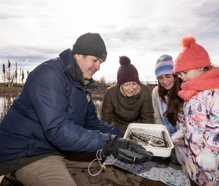 Pond dipping at Alconbury Weald