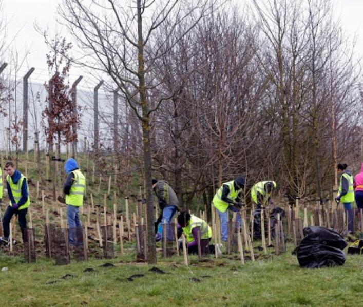 Tree-mendous planting day brings communities and generations together Tree-mendous planting day brings communities and generations together