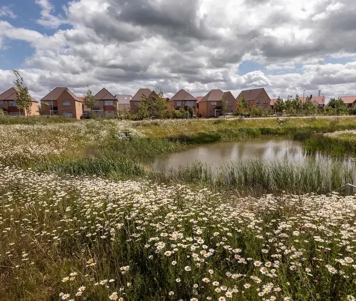 Alconbury Weald landscape